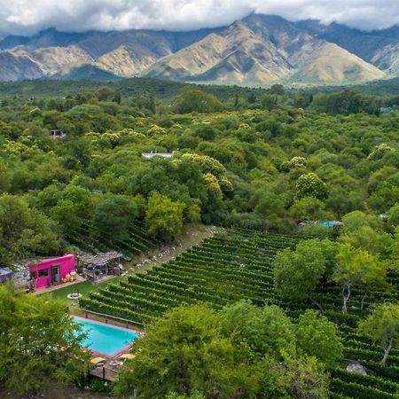 Araoz De Lamadrid Hotel&Bodega Сан-Хав'єр Екстер'єр фото