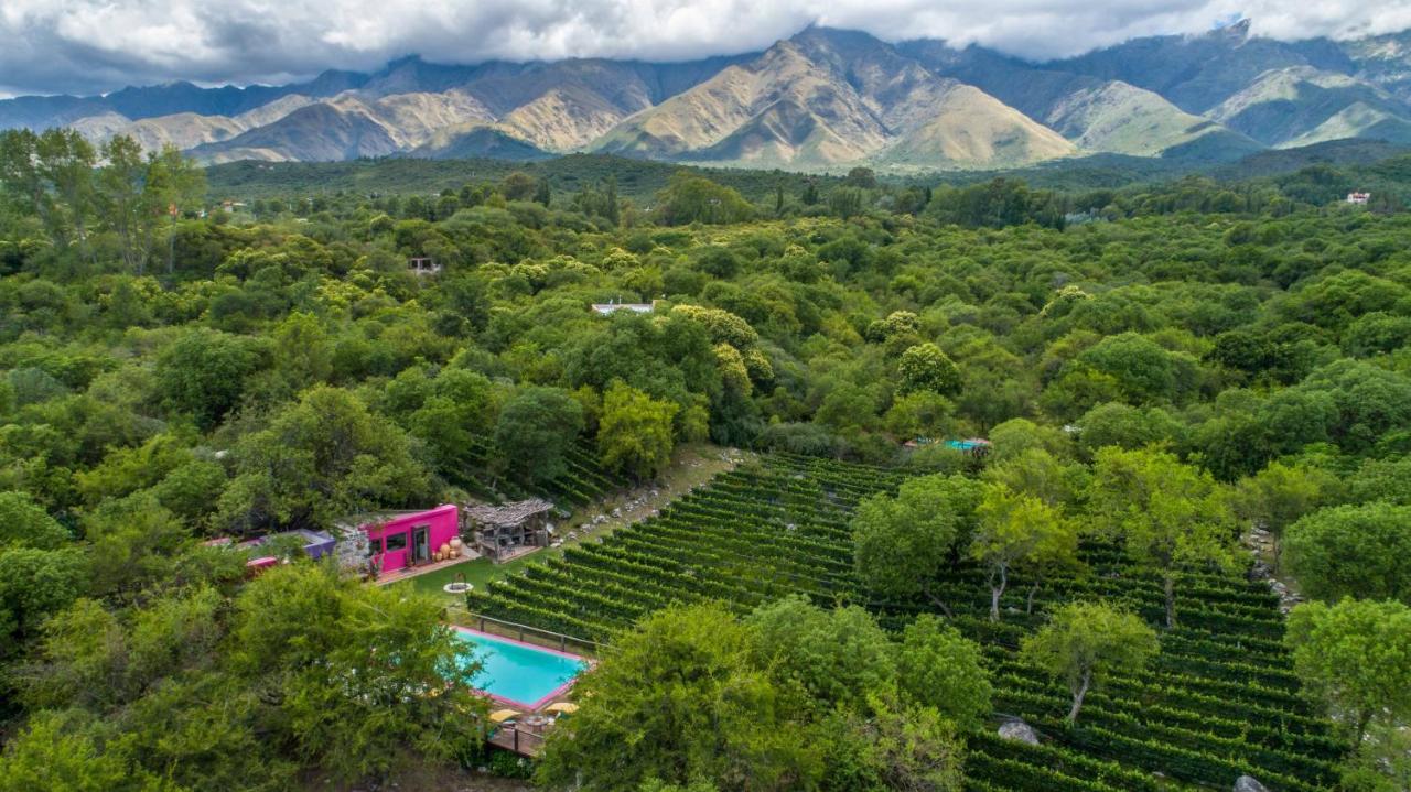 Araoz De Lamadrid Hotel&Bodega Сан-Хав'єр Екстер'єр фото
